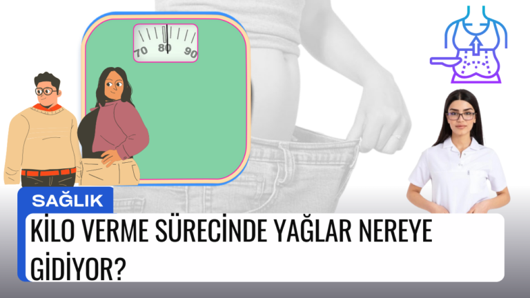 Kilo Verme Sürecinde Yağlar Nereye Gidiyor?